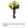 Balança Suspensa Linha Standard - 3.000kg a 5.000kg